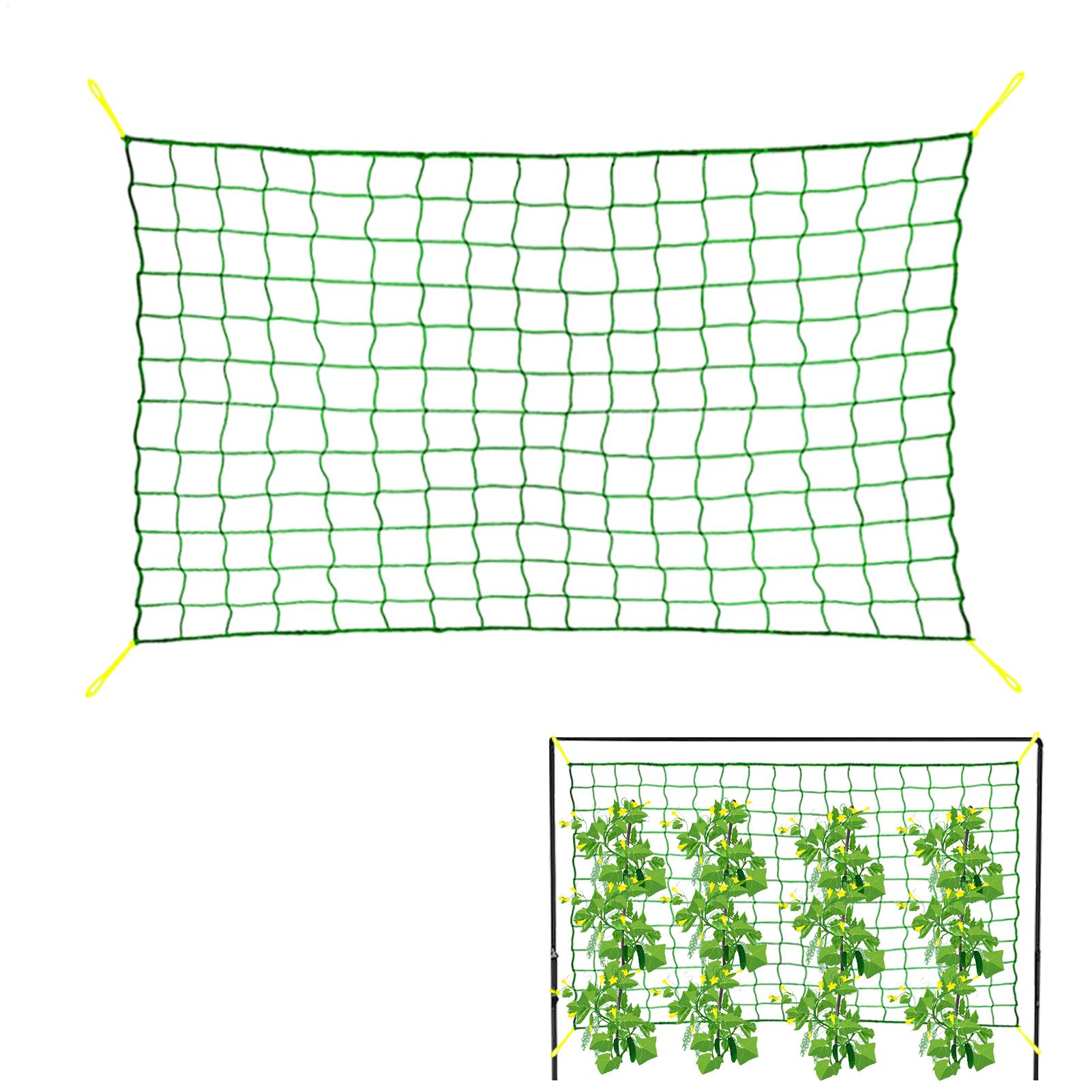 Plant Support Trellis Netting Climbing - ตาข่ายปลูกต้นไม้ ตาข่ายพยุงต้นไม้ ตาข่ายไนลอนทนทาน ตาข่ายสำหรับฟักทอง ถั่ว มะเขือเทศ