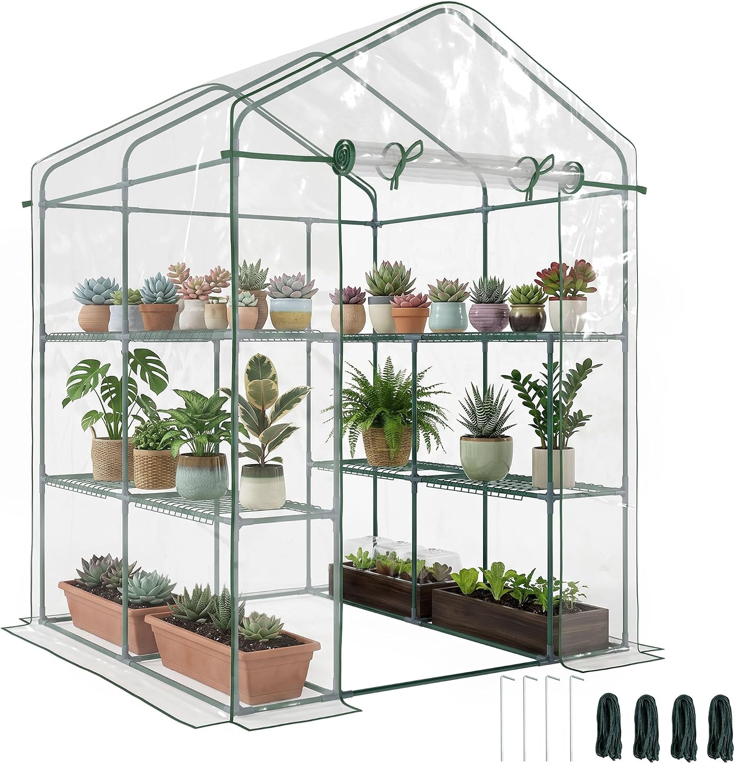 Mini Walk In Greenhouse 3 Tier Shelves - ชุดเรือนกระจกขนาดเล็กแบบใส พร้อมชั้นวาง 3 ชั้น ขนาด 5'