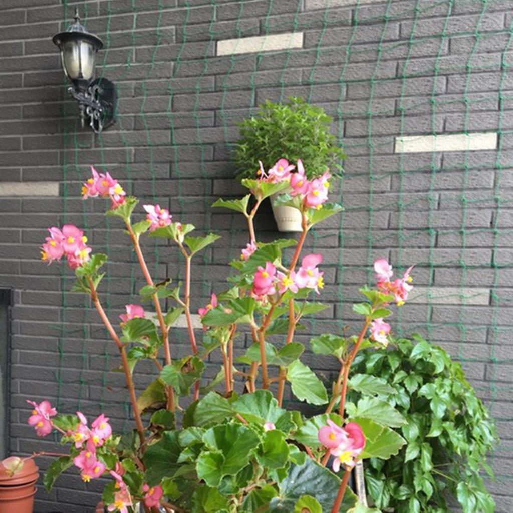 Plant Support Trellis Netting Climbing - ตาข่ายไนลอนสำหรับพืชเลื้อย ใช้รองรับต้นไม้สำหรับติดตั้งบนโครงตาข่ายในสวนทั้งในร่มและกลางแจ้ง