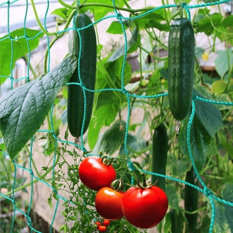 ตาข่ายพยุงต้นไม้ทนทาน ขนาด 2.7 - Plant Support Trellis Netting Climbing บทวิจารณ์และราคา