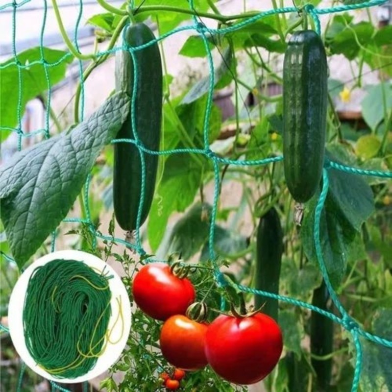 ตาข่ายพยุงต้นไม้ทนทาน ขนาด 2.7 - Plant Support Trellis Netting Climbing บทวิจารณ์และราคา