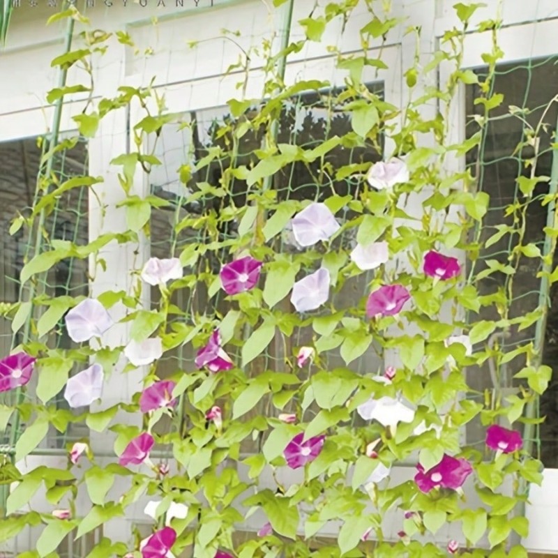 ตาข่ายพยุงต้นไม้ทนทาน ขนาด 2.7 - Plant Support Trellis Netting Climbing บทวิจารณ์และราคา