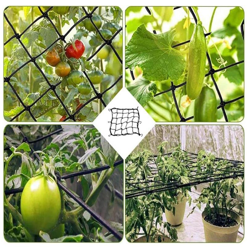 ตาข่ายสำหรับปลูกต้นไม้ในสวนขนา - Plant Support Trellis Netting Climbing บทวิจารณ์และราคา