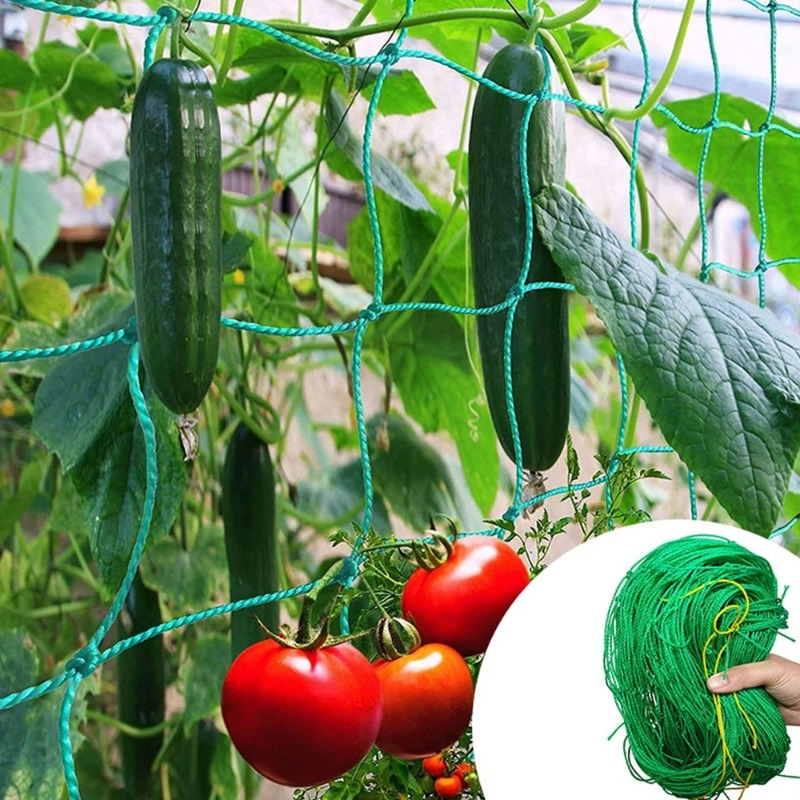 ตาข่ายสำหรับพืชเลื้อย ตาข่ายไน - Plant Support Trellis Netting Climbing บทวิจารณ์และราคา