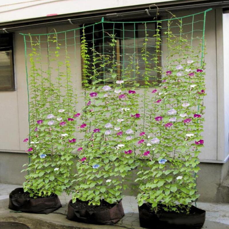 4 ขนาดสวนพืชปีนเขาสุทธิขาตั้งผ - Plant Support Trellis Netting Climbing บทวิจารณ์และราคา