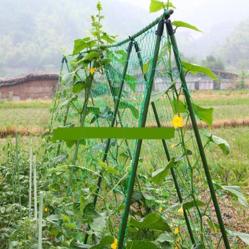 4 ขนาดสวนพืชปีนเขาสุทธิขาตั้งผ - Plant Support Trellis Netting Climbing บทวิจารณ์และราคา