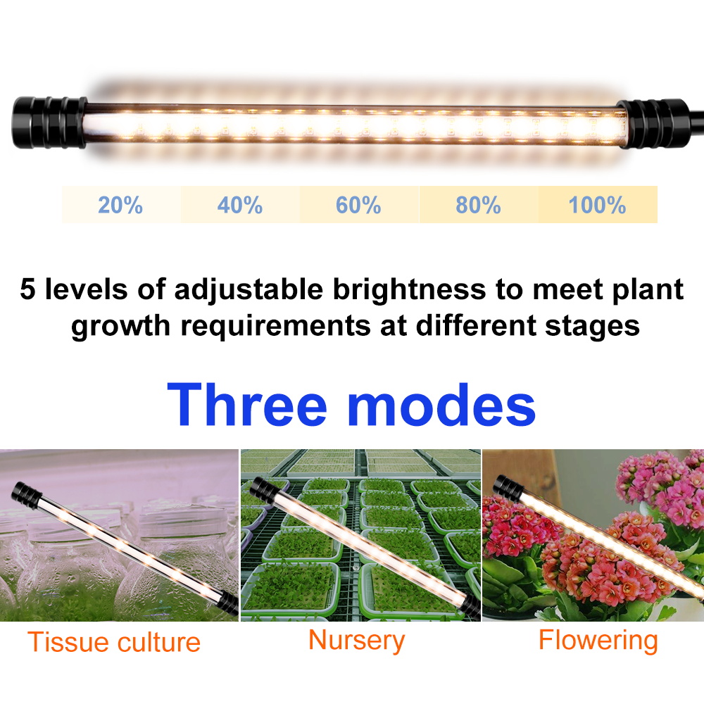 LED Phyto Grow Light Spectrum  - Seed Starter Tray Kit With Grow Light บทวิจารณ์และราคา