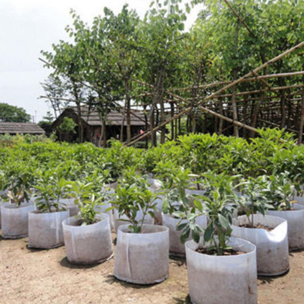 กระถางผ้าไม่ถักไม่ทอย่อยสลายได - Plant Nursery Grow Bags Fabric 5 Gallon บทวิจารณ์และราคา