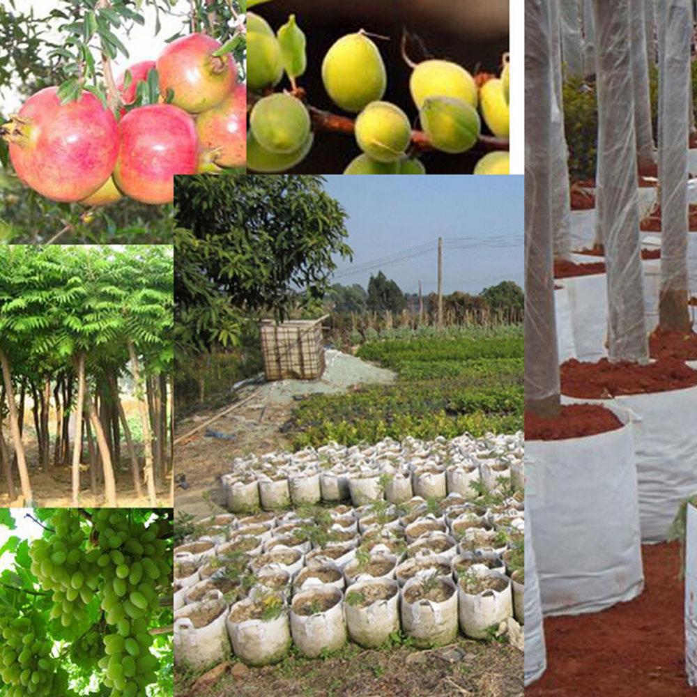 กระถางผ้าไม่ถักไม่ทอย่อยสลายได - Plant Nursery Grow Bags Fabric 5 Gallon บทวิจารณ์และราคา