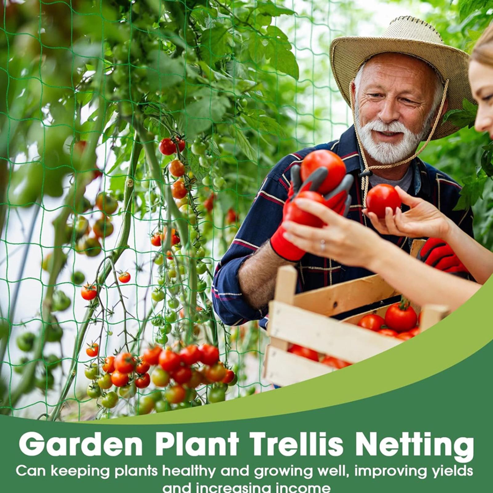 ตาข่ายปลูกต้นไม้ ตาข่ายพยุงต้น - Plant Support Trellis Netting Climbing บทวิจารณ์และราคา