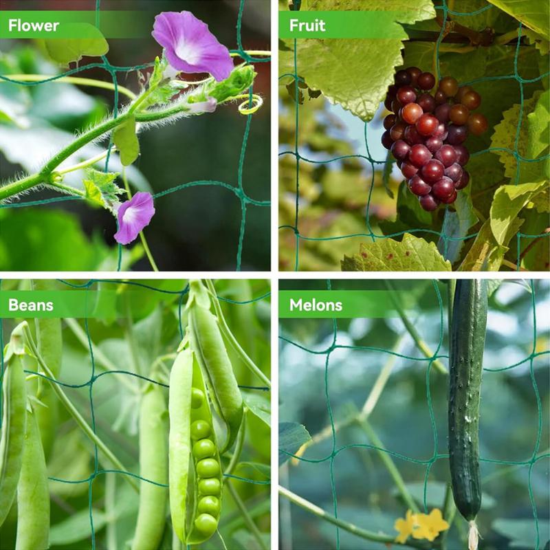 Trellis ตาข่ายสําหรับพืชปีนเขา - Plant Support Trellis Netting Climbing บทวิจารณ์และราคา