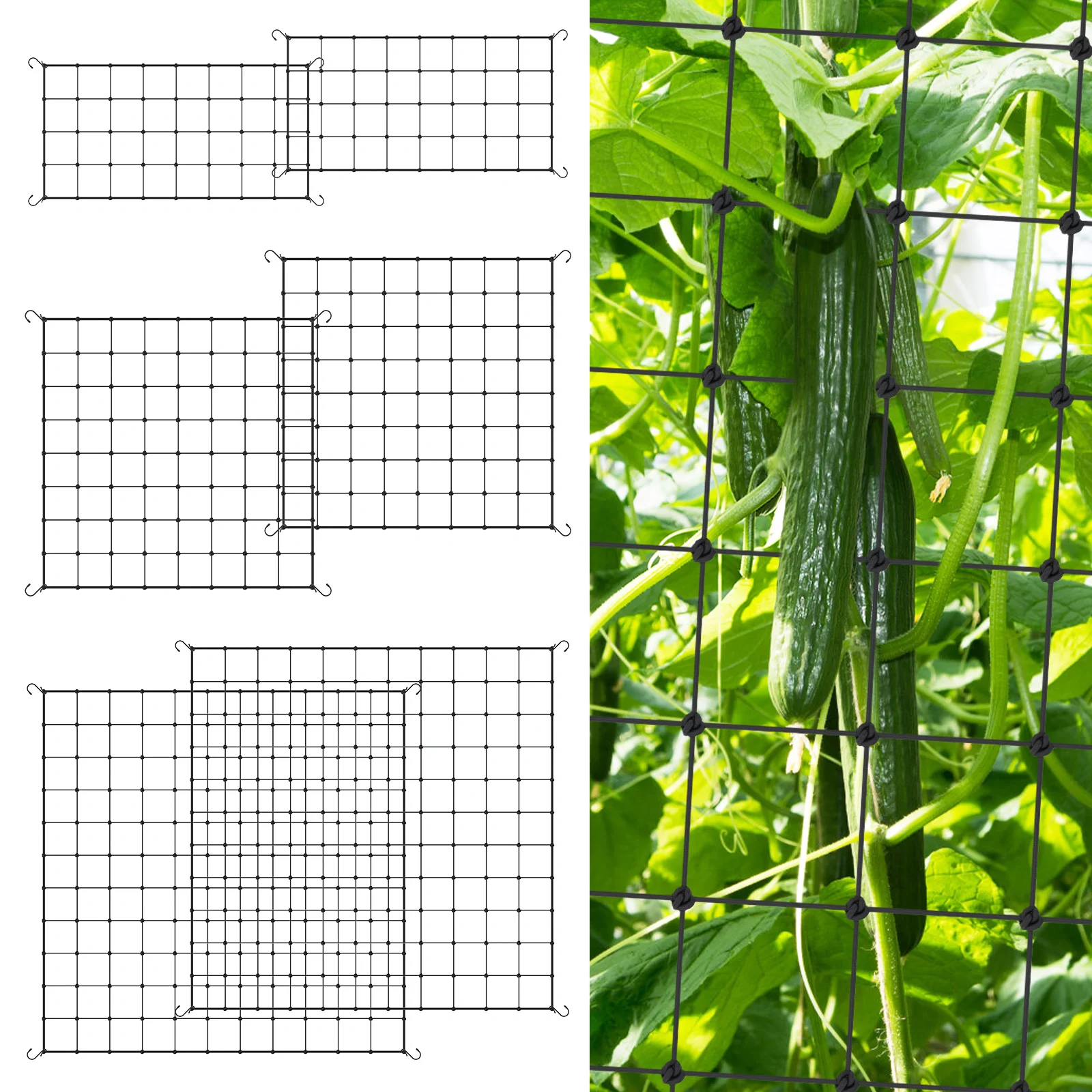 ตาข่ายพยุงต้นไม้แบบยืดหยุ่น 2  - Plant Support Trellis Netting Climbing บทวิจารณ์และราคา
