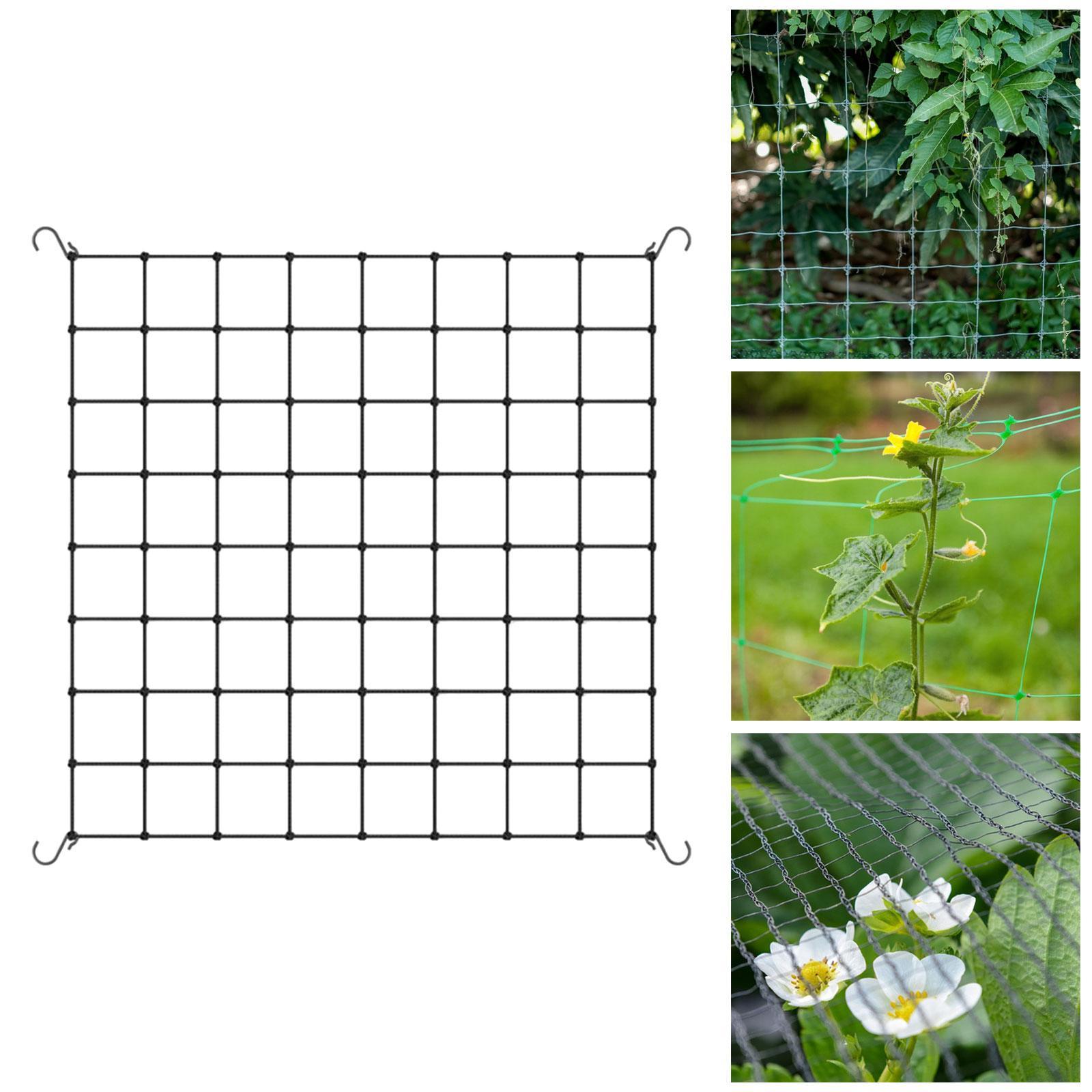 ตาข่ายรองรับต้นไม้พร้อมตะขอ 4  - Plant Support Trellis Netting Climbing บทวิจารณ์และราคา