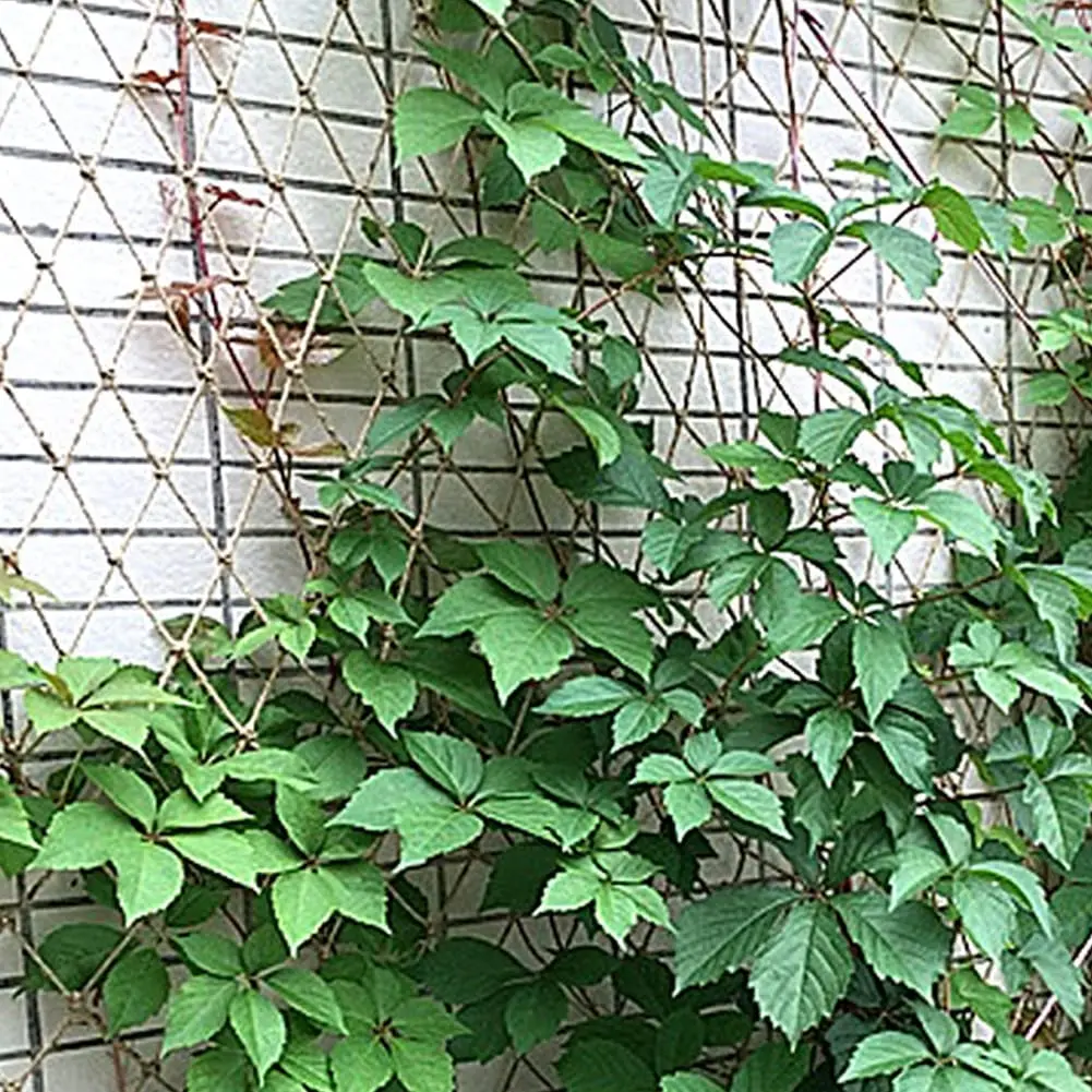 พืชสนับสนุนตาข่ายเชือกปอกระเจา - Plant Support Trellis Netting Climbing บทวิจารณ์และราคา