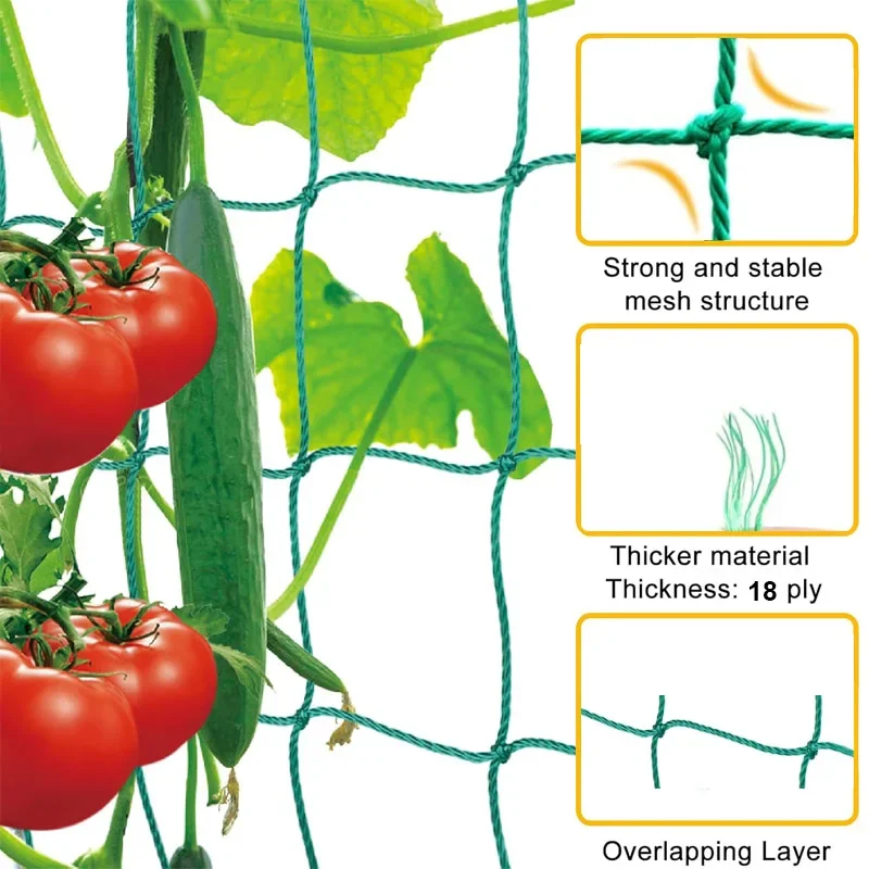 ตาข่ายพยุงต้นไม้แบบตาข่ายสี่เห - Plant Support Trellis Netting Climbing บทวิจารณ์และราคา