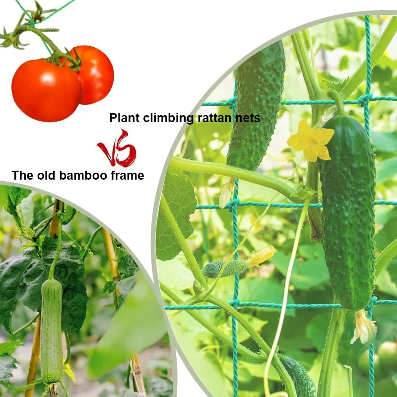 ตาข่ายพยุงต้นไม้แบบตาข่ายสี่เห - Plant Support Trellis Netting Climbing บทวิจารณ์และราคา