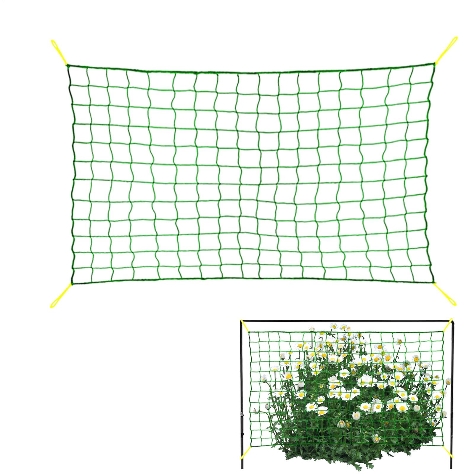 ตาข่ายตาข่ายรองรับต้นไม้ 9 เส้ - Plant Support Trellis Netting Climbing บทวิจารณ์และราคา