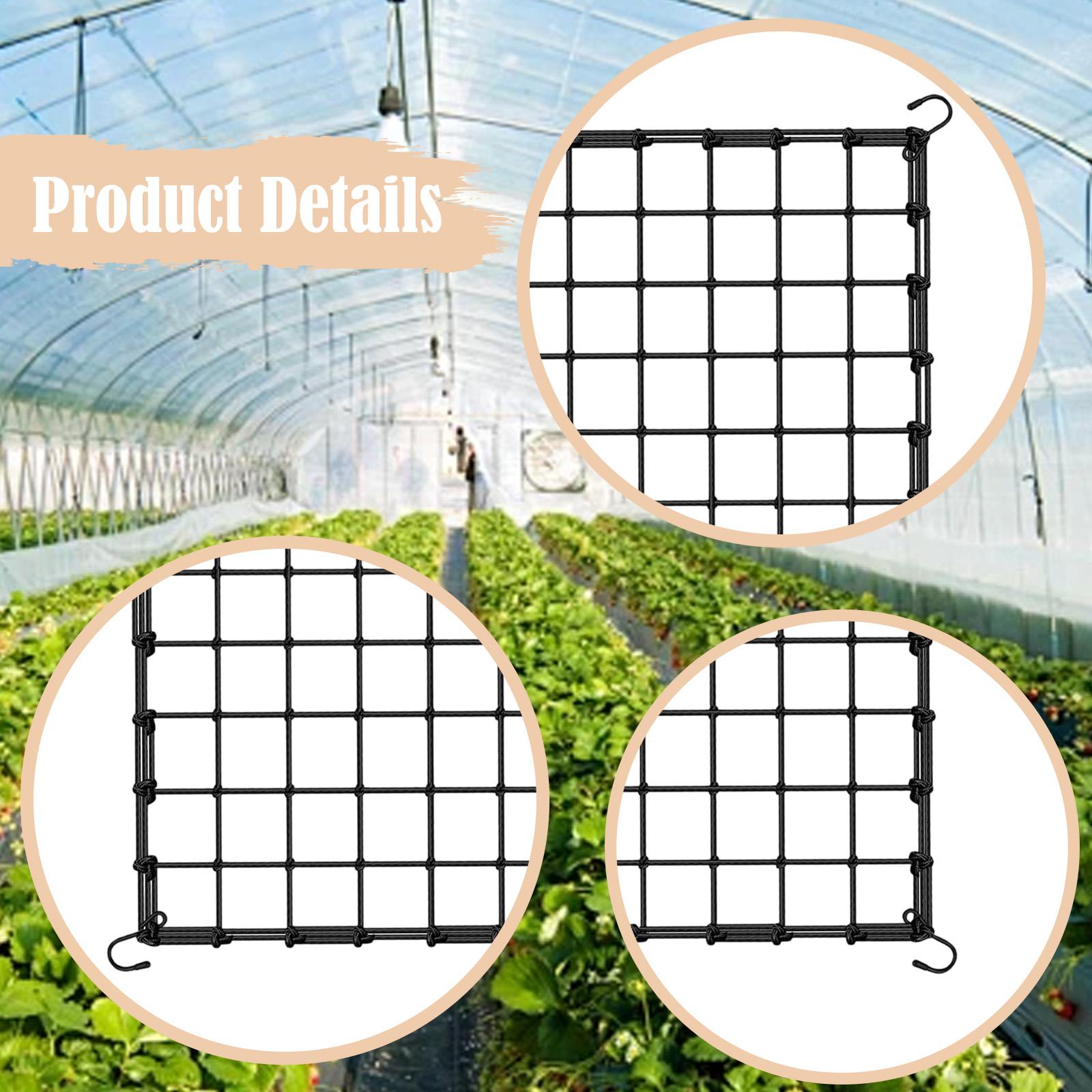 ตาข่ายยืดหยุ่นสำหรับพืชเลื้อย  - Plant Support Trellis Netting Climbing บทวิจารณ์และราคา