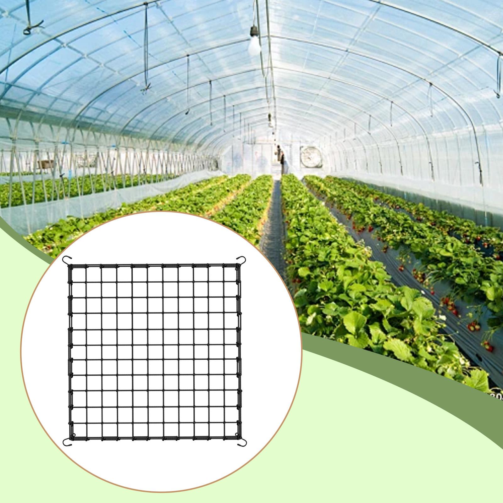 ตาข่ายยืดหยุ่นสำหรับพืชเลื้อย  - Plant Support Trellis Netting Climbing บทวิจารณ์และราคา