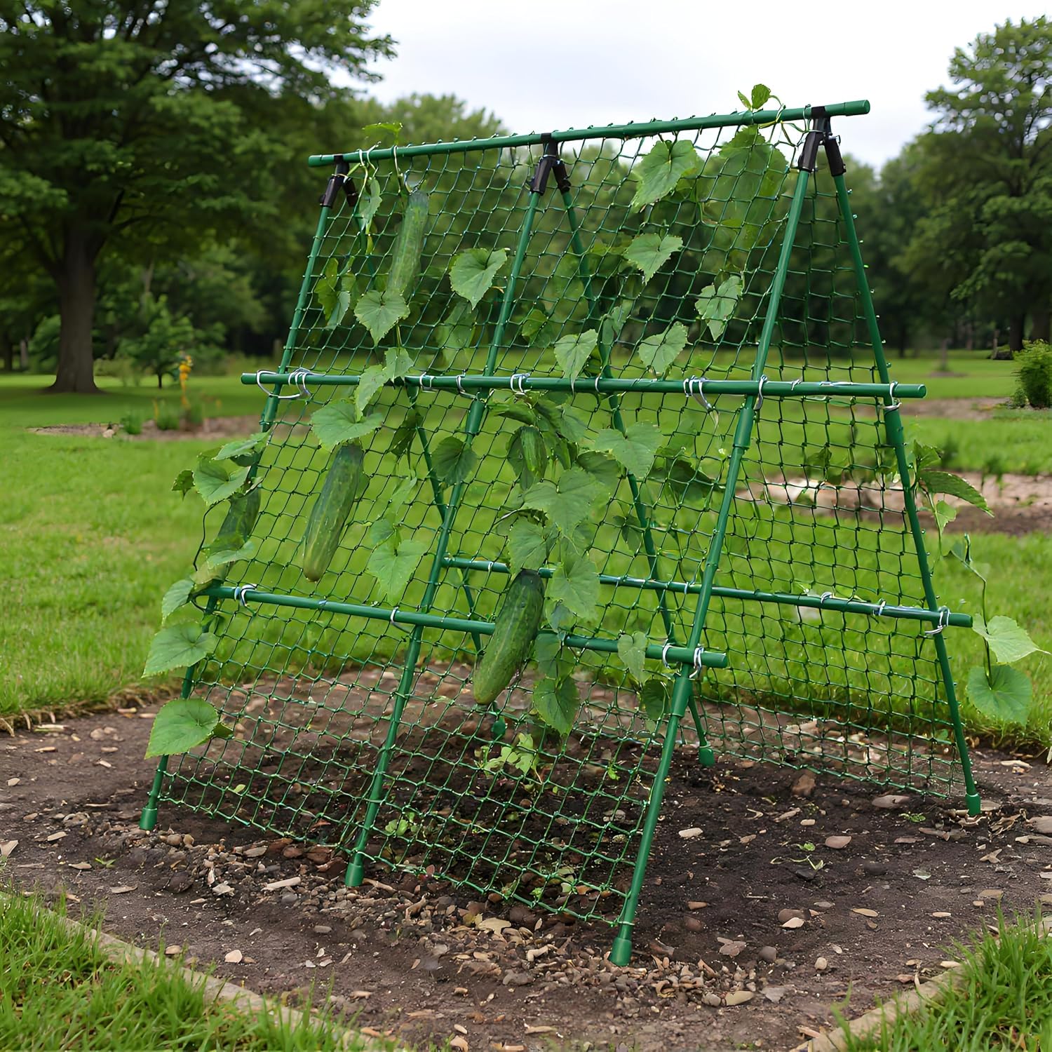 โครงค้ำยันสำหรับปลูกแตงกวา ขนา - Plant Support Trellis Netting Climbing บทวิจารณ์และราคา