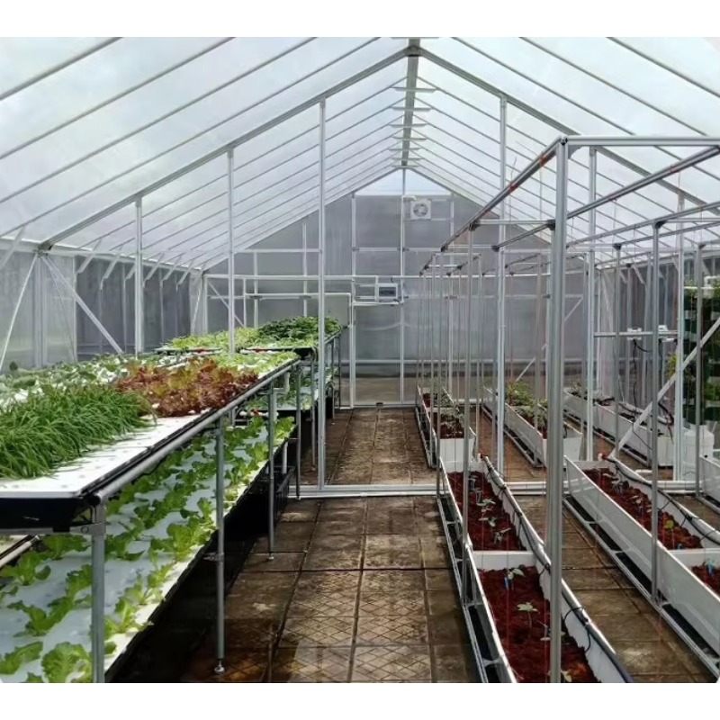 เรือนกระจกสวนโพลีคาร์บอเนตแบบว - Polycarbonate Greenhouse Aluminum Frame บทวิจารณ์และราคา