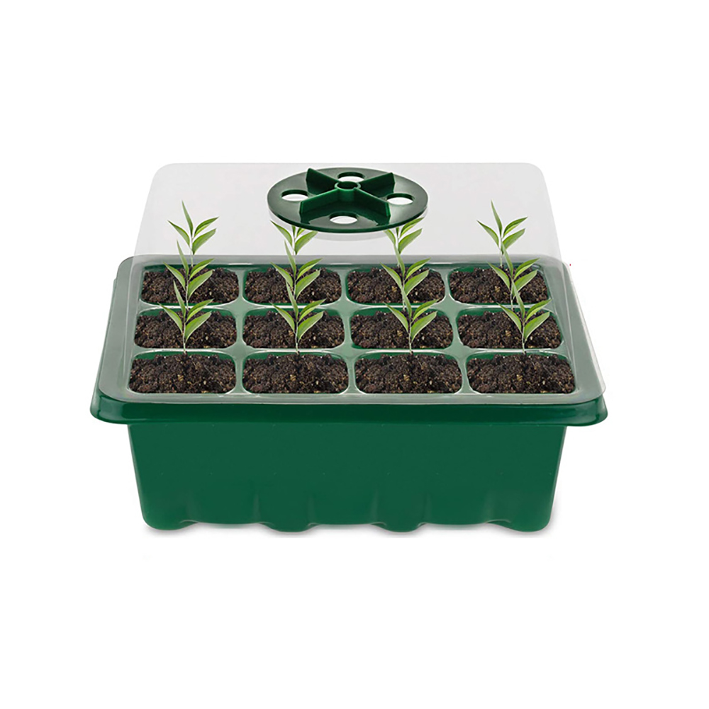 ถาดเพาะเมล็ดพร้อมไฟ Grow ชุดเพ - Seed Starter Tray Kit With Grow Light บทวิจารณ์และราคา