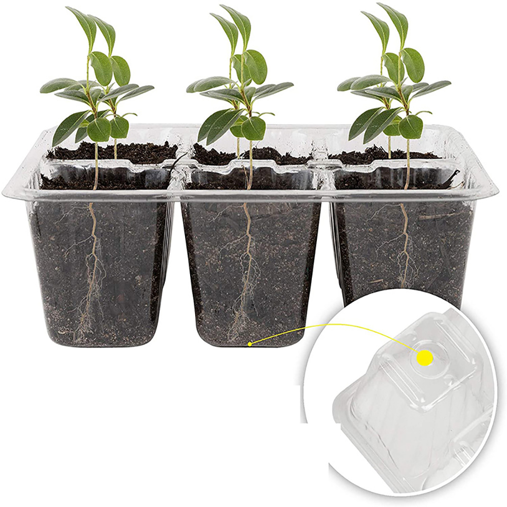 ถาดเพาะเมล็ดพร้อมไฟ Grow ชุดเพ - Seed Starter Tray Kit With Grow Light บทวิจารณ์และราคา
