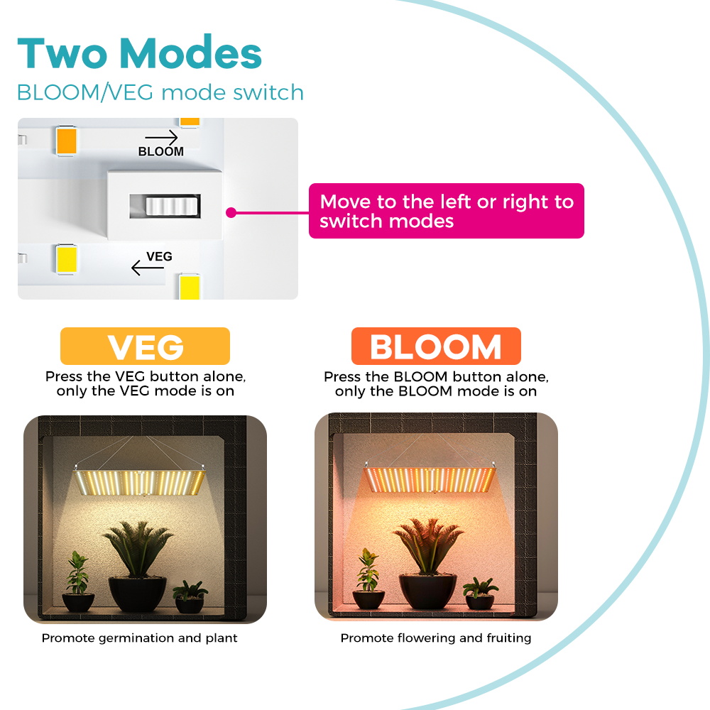 ไฟปลูกพืช LED 350W สเปกตรัมเต็ - Seed Starter Tray Kit With Grow Light บทวิจารณ์และราคา