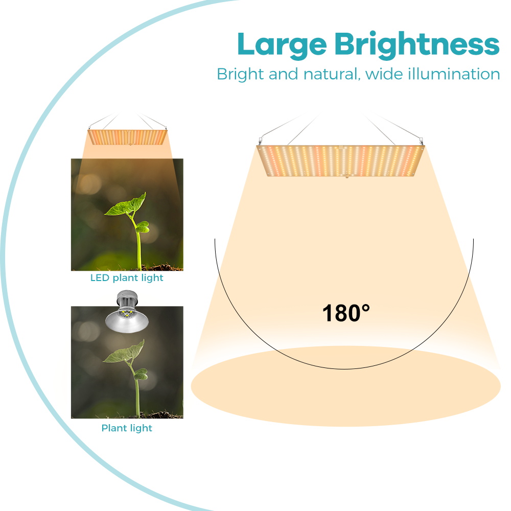 ไฟปลูกพืช LED 350W สเปกตรัมเต็ - Seed Starter Tray Kit With Grow Light บทวิจารณ์และราคา