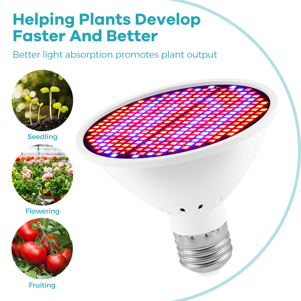 หลอดไฟปลูกต้นไม้ 220V LED หลอด - Seed Starter Tray Kit With Grow Light บทวิจารณ์และราคา