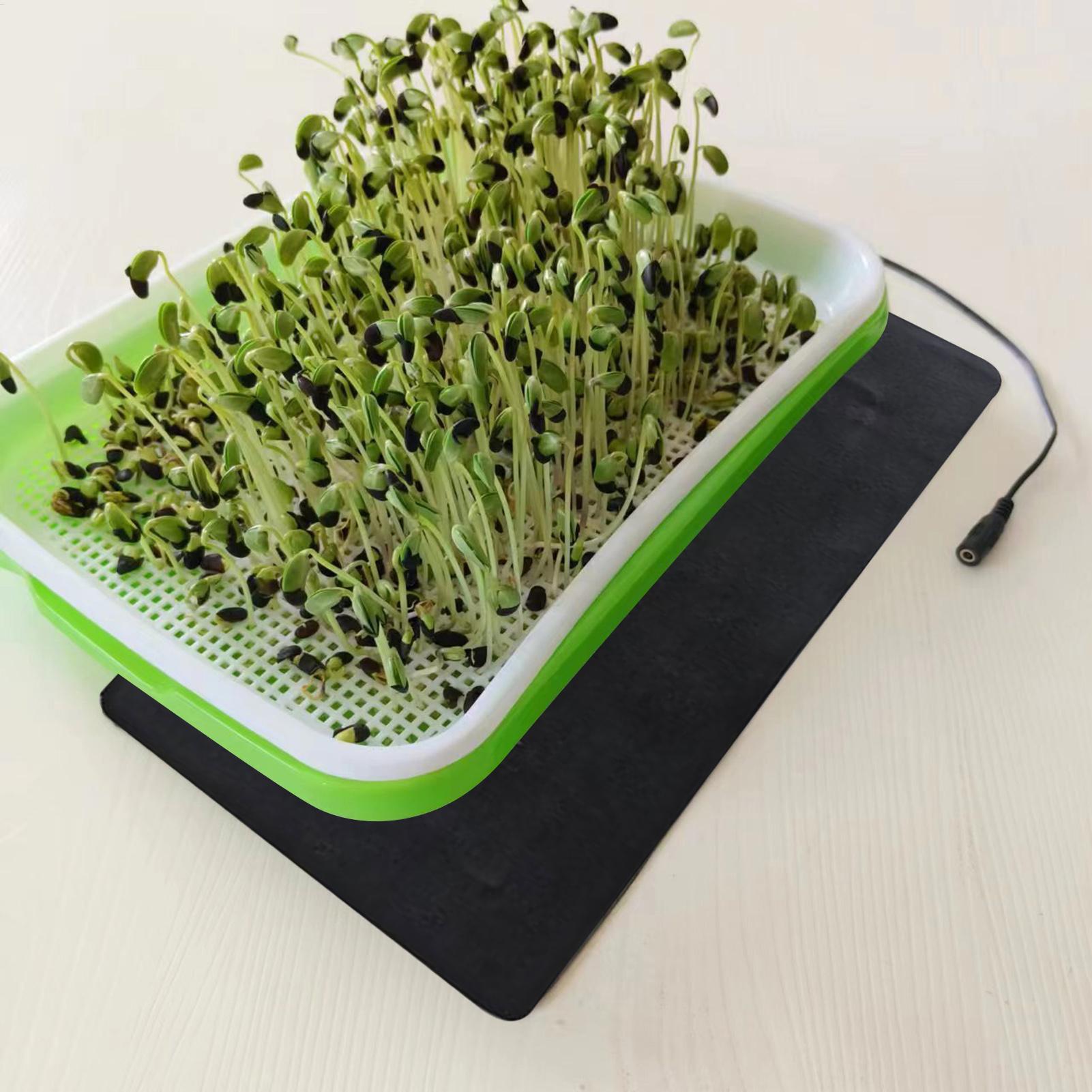 แผ่นทำความร้อนสำหรับต้นกล้าแบบ - Plant Seedling Heat Mat Waterproof บทวิจารณ์และราคา