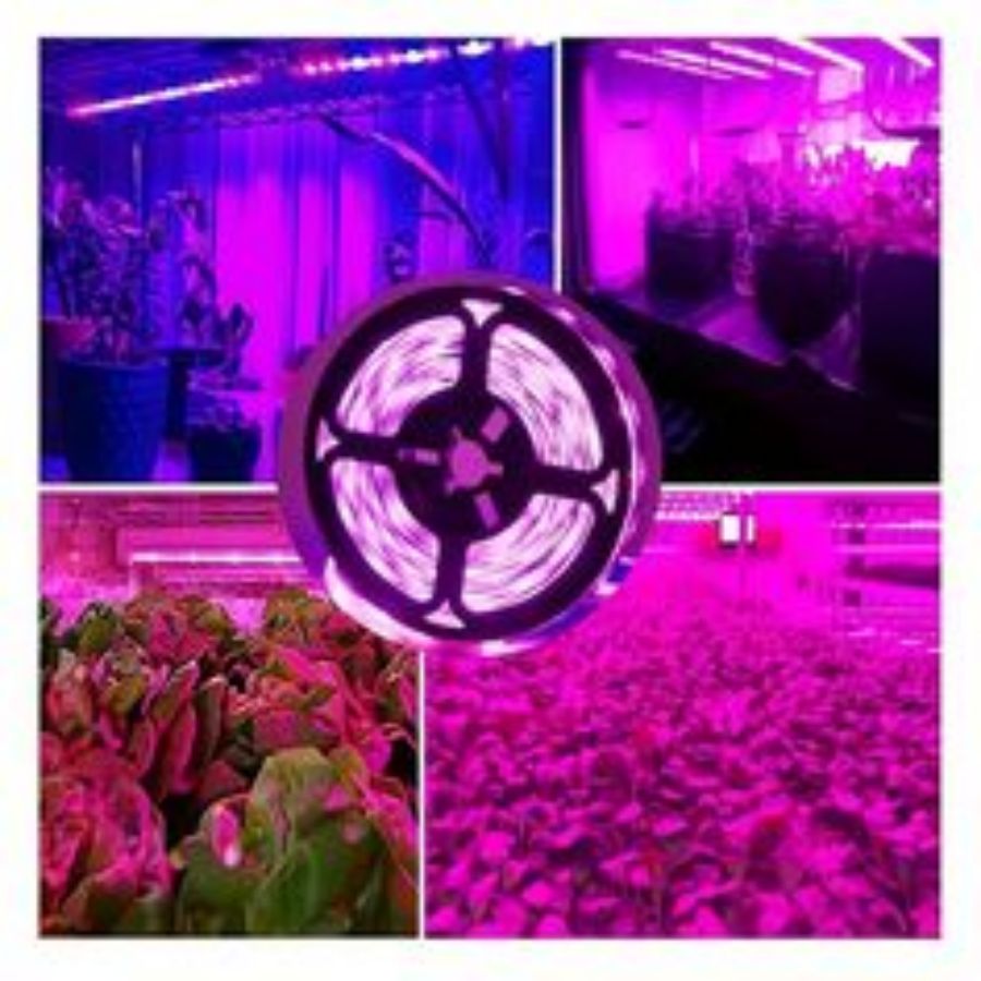 1 M/2 M/3 M/5 M/10 M LED Full  - Seed Starter Tray Kit With Grow Light บทวิจารณ์และราคา