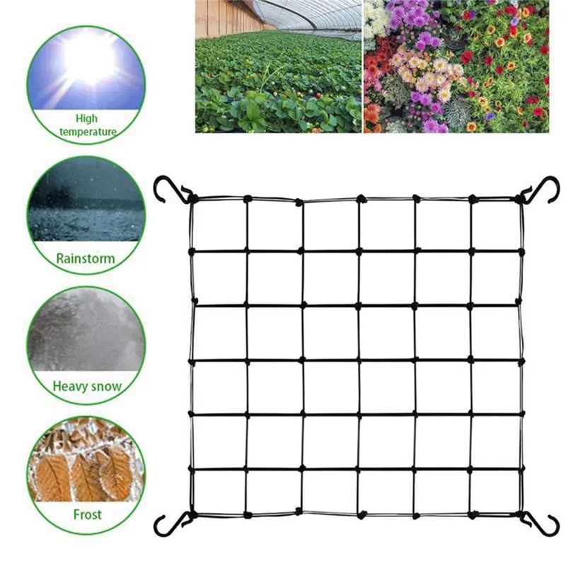 ตาข่ายค้ำต้นไม้สำหรับสวน ตาข่า - Plant Support Trellis Netting Climbing บทวิจารณ์และราคา