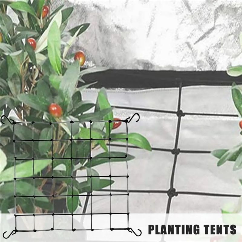 ตาข่ายค้ำต้นไม้สำหรับสวน ตาข่า - Plant Support Trellis Netting Climbing บทวิจารณ์และราคา