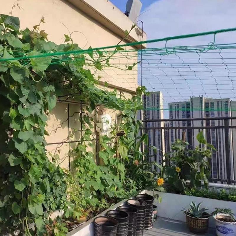 9 Strands พืชปีนเขาตาข่ายสําหร - Plant Support Trellis Netting Climbing บทวิจารณ์และราคา