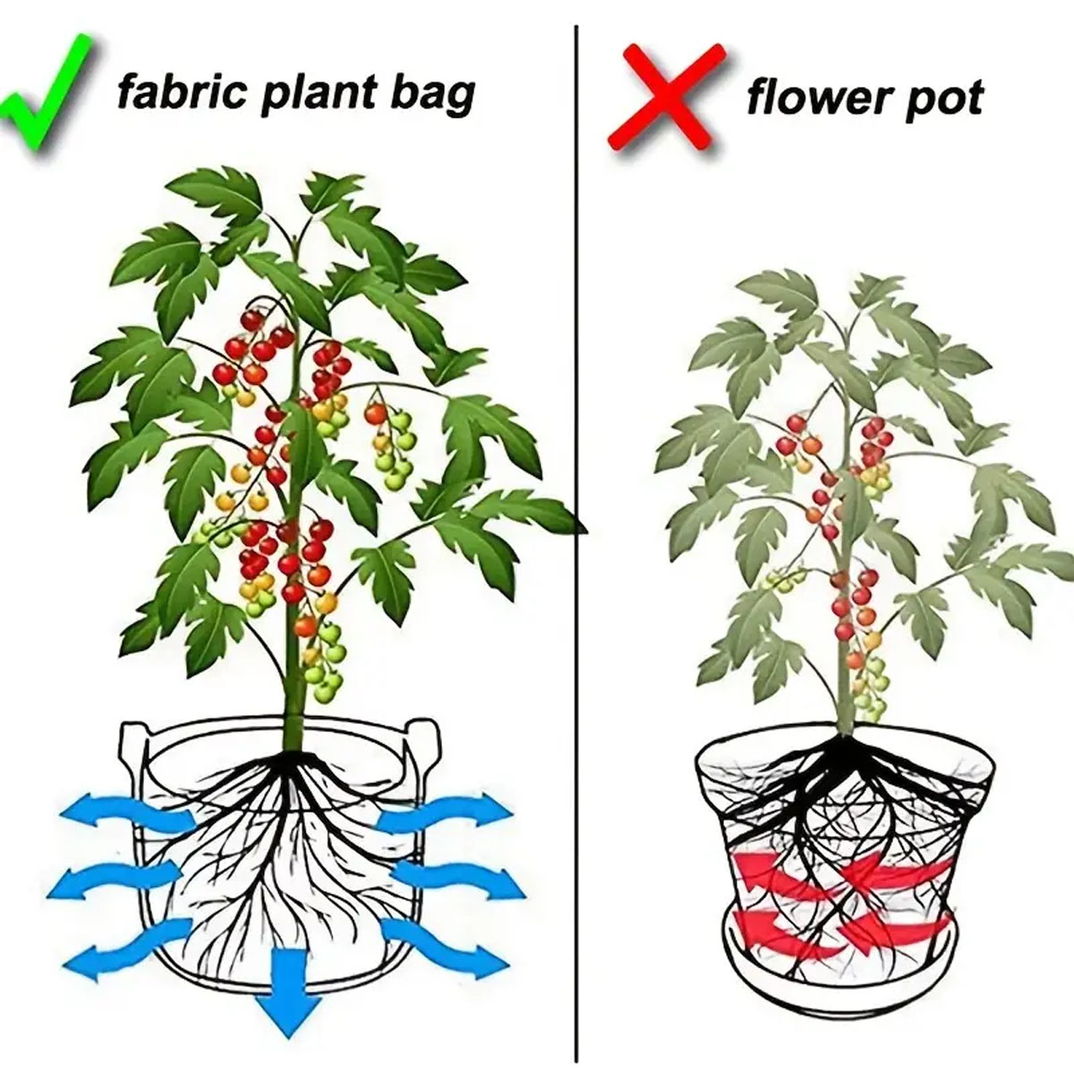 5PCS Felt Grow ถุง 5/10/15 แกล - Plant Nursery Grow Bags Fabric 5 Gallon บทวิจารณ์และราคา