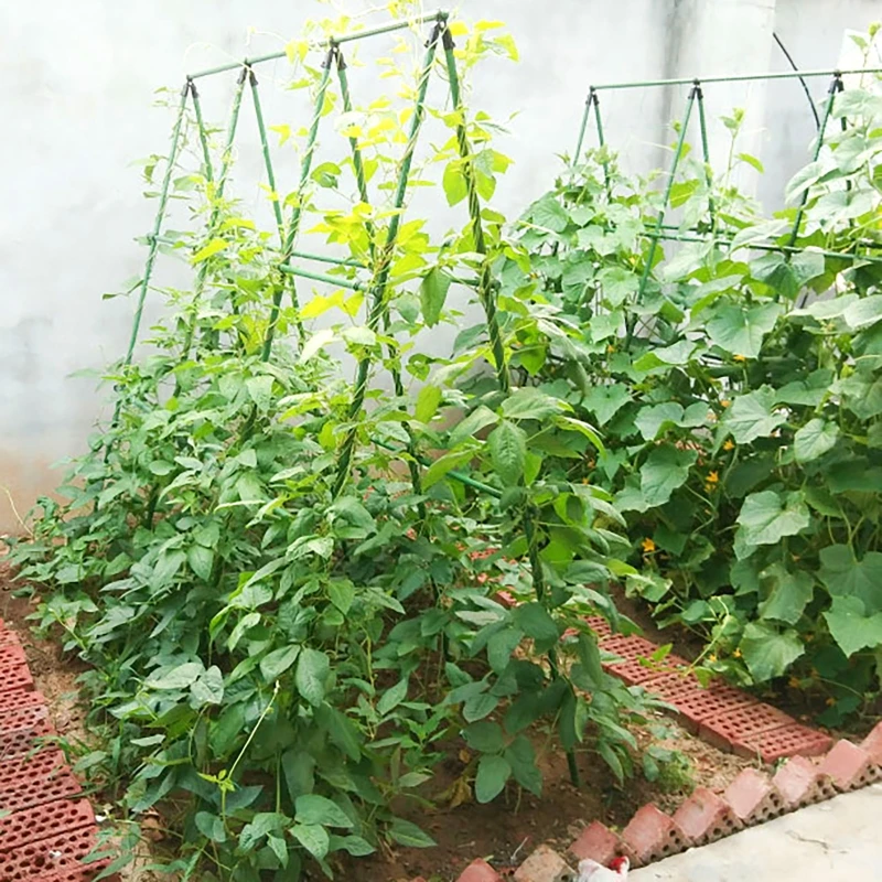 แตงกวา Trellis ชุด A-Frame สํา - Plant Support Trellis Netting Climbing บทวิจารณ์และราคา