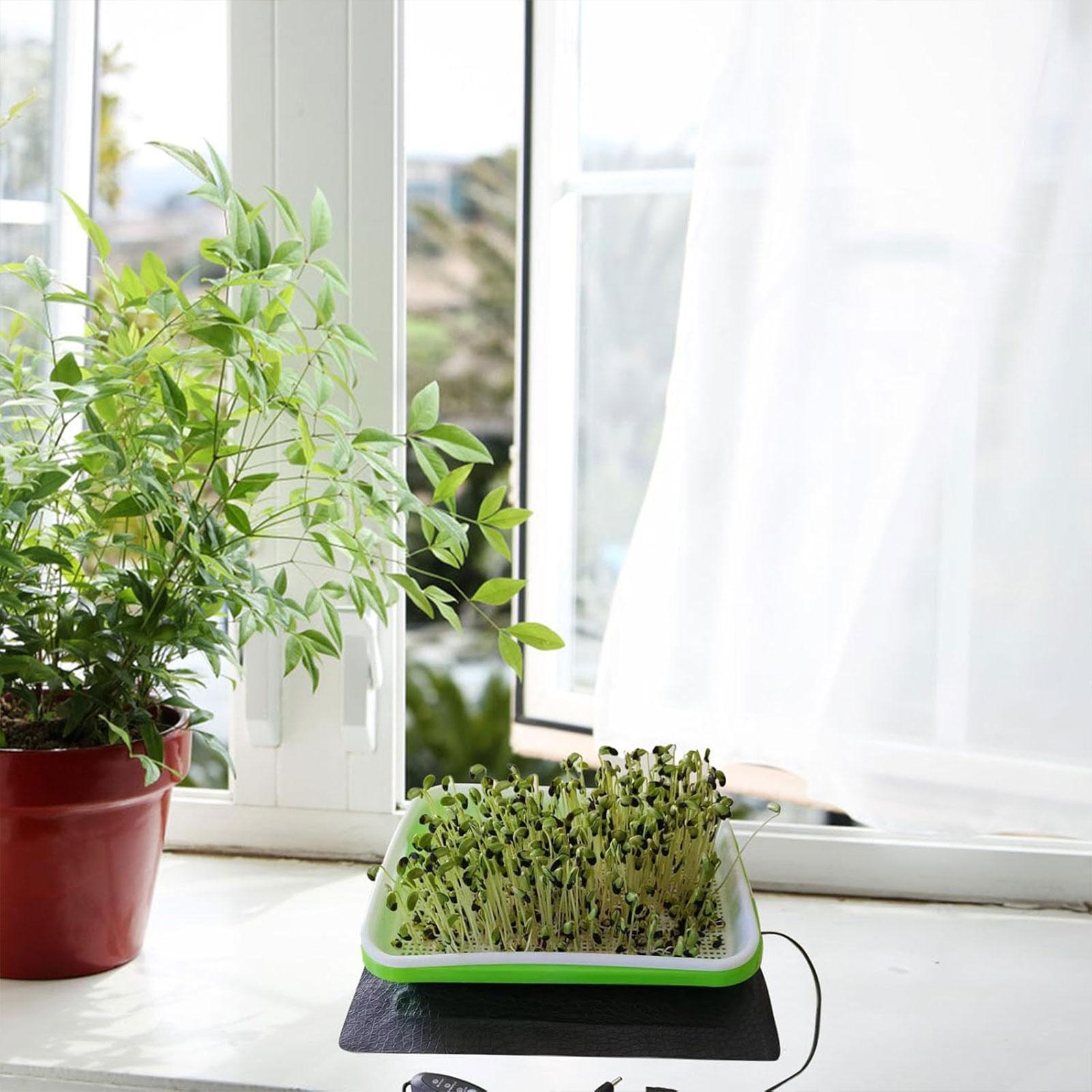แผ่นทำความร้อนสำหรับเพาะเมล็ดแ - Plant Seedling Heat Mat Waterproof บทวิจารณ์และราคา