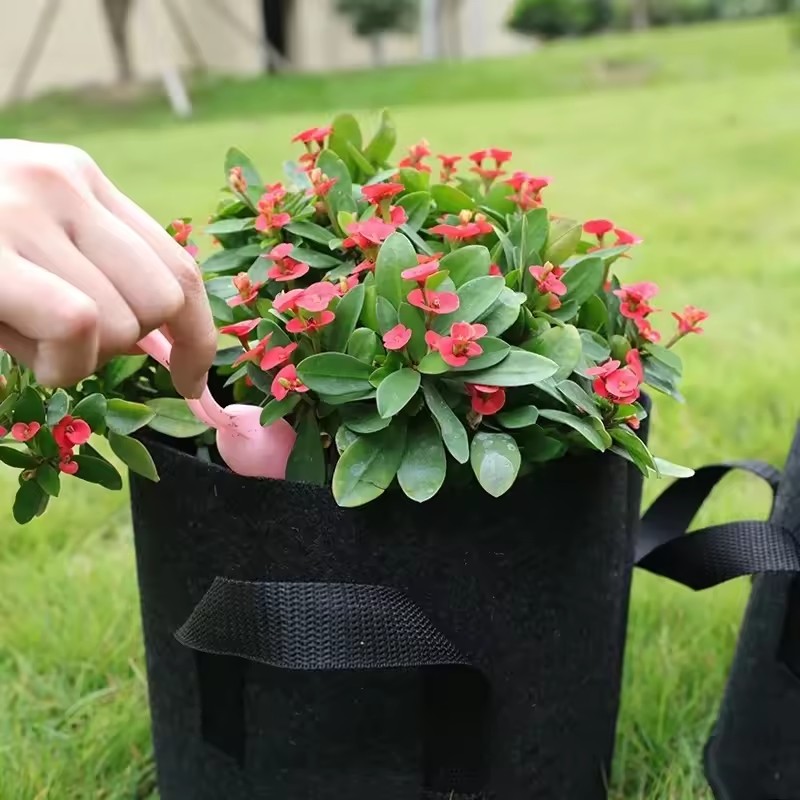 กระถางปลูกผักและดอกไม้แบบผ้าสั - Plant Nursery Grow Bags Fabric 5 Gallon บทวิจารณ์และราคา