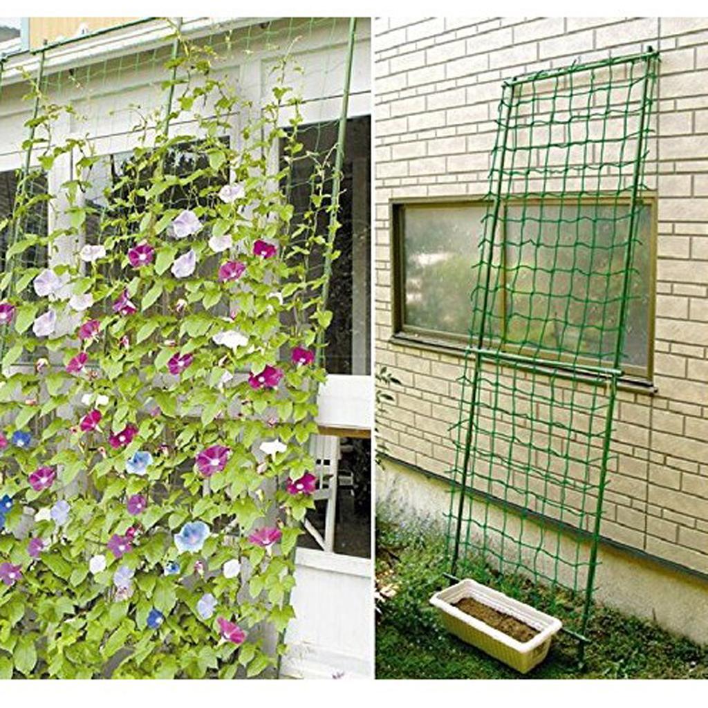 ตาข่ายไนลอนสำหรับพืชเลื้อย ใช้ - Plant Support Trellis Netting Climbing บทวิจารณ์และราคา