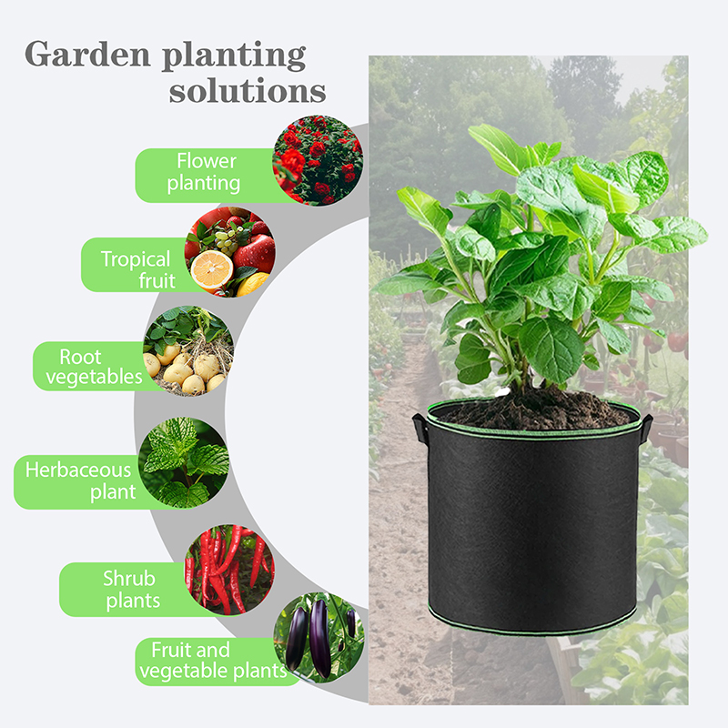 ถุงปลูกต้นไม้ผ้าขนาด 1 3 5 10  - Plant Nursery Grow Bags Fabric 5 Gallon บทวิจารณ์และราคา