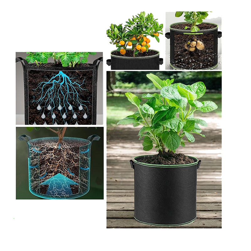 ถุงปลูกต้นไม้ผ้าขนาด 1 3 5 10  - Plant Nursery Grow Bags Fabric 5 Gallon บทวิจารณ์และราคา